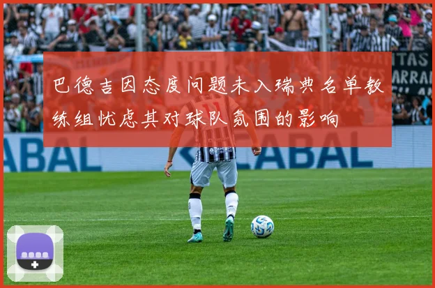 巴德吉因态度问题未入瑞典名单教练组忧虑其对球队氛围的影响