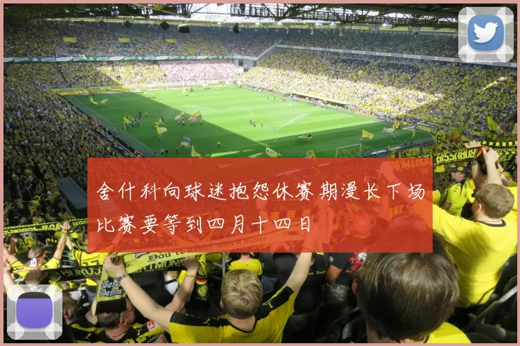 舍什科向球迷抱怨休赛期漫长下场比赛要等到四月十四日