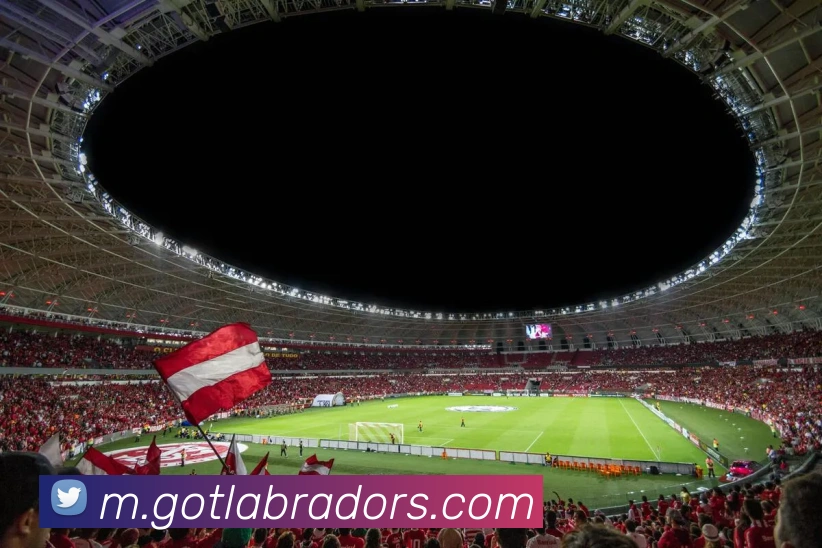 奖项4